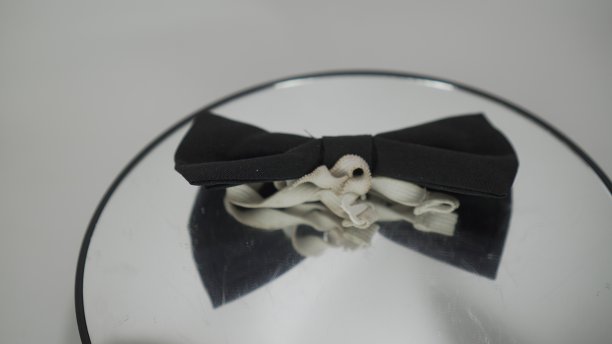 简单的黑色领结与白色弹性绳作为关闭图片下载