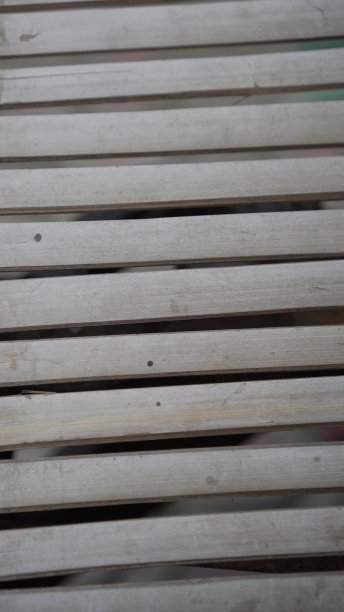 竹茎的表面排列整齐图片下载