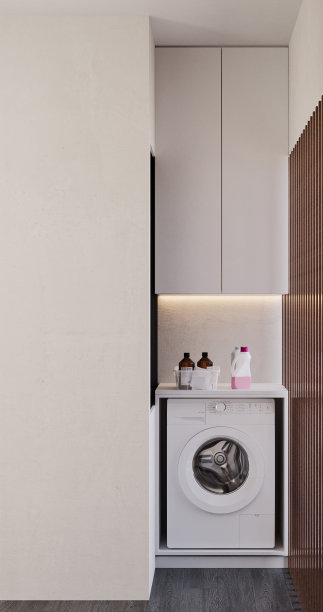 智能家居中的极简主义洗衣角图片下载