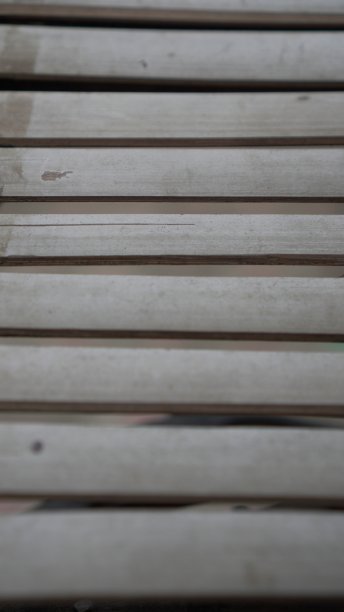 竹茎的表面排列整齐图片下载