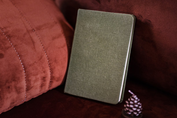 灰色纹理的书的封面是红色的被子图片下载