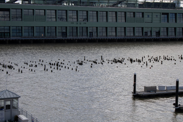 水位照片与码头，船和建筑的背景图片下载