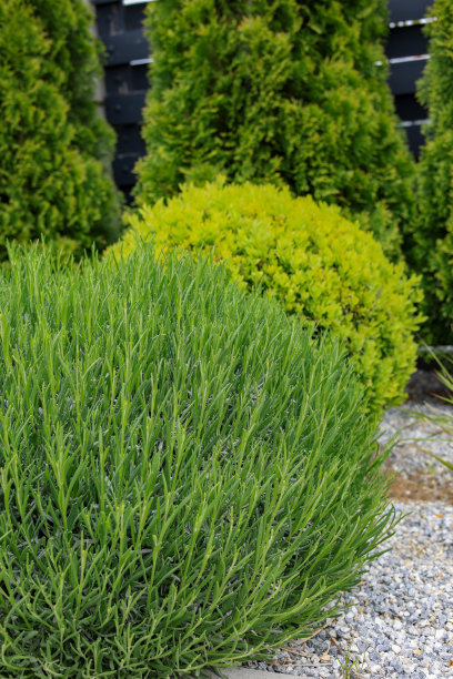 当地景观设计图片下载