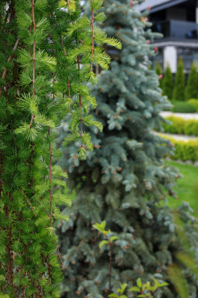 当地景观设计图片下载