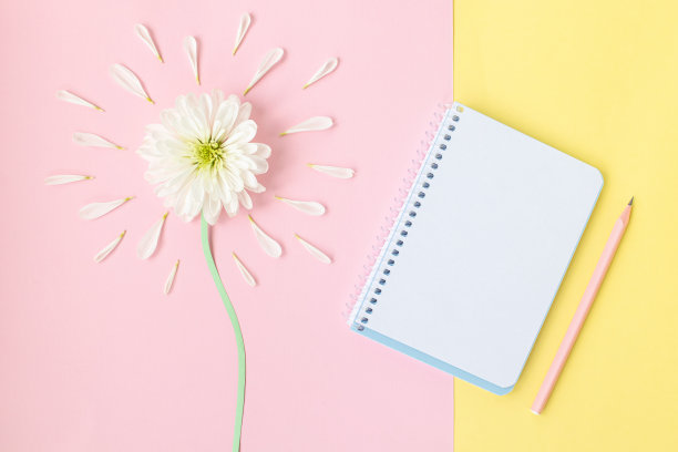 笔记本，铅笔和白色菊花在粉红色和黄色的背景，俯视图。夏天，春天的概念。白色便签纸模型图片下载