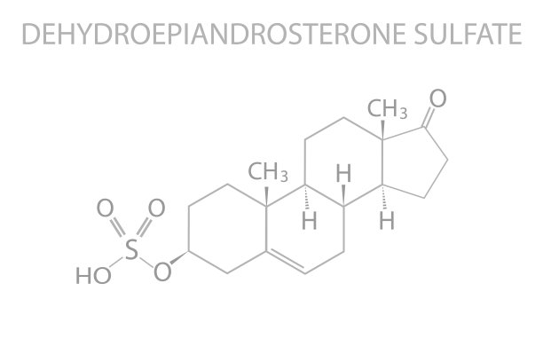 硫酸脱氢表雄酮分子骨架化学式图片下载