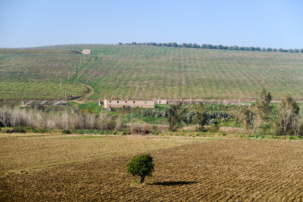 法国葡萄园，照片为背景图片下载