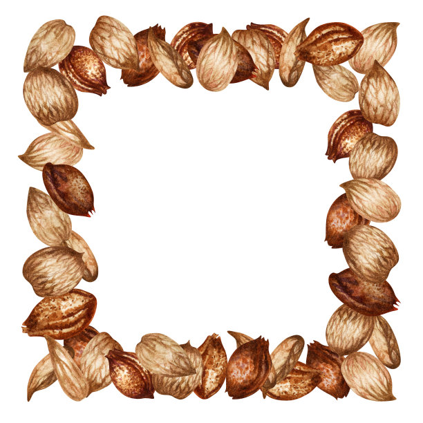 方形框架的杏仁和种子。标签、横幅、菜单、邀请函、墙纸、医药、美容、烹饪用油广告设计模板的水彩插画图片下载