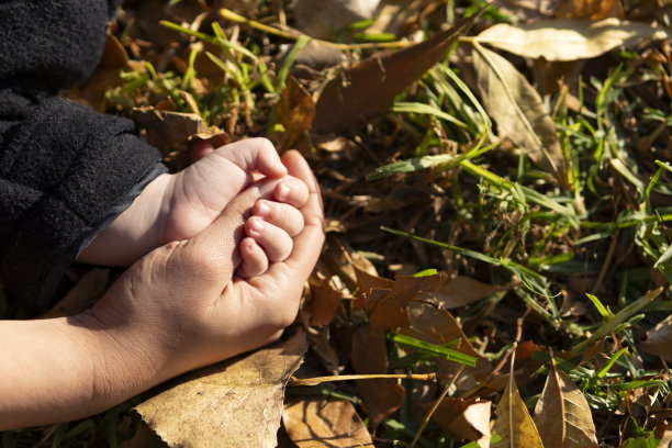 一位妈妈的手握着她刚学会走路的孩子的小手，放在秋叶上的特写照片图片下载