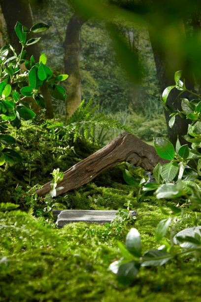 平坦的灰色石台孤立在草地上，旁边是绿色的树枝和干枯的树枝。从正面角度拍摄的照片有展示和复制空间图片下载