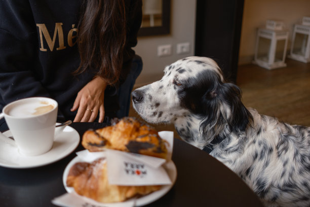 和狗一起喝咖啡的女孩图片下载