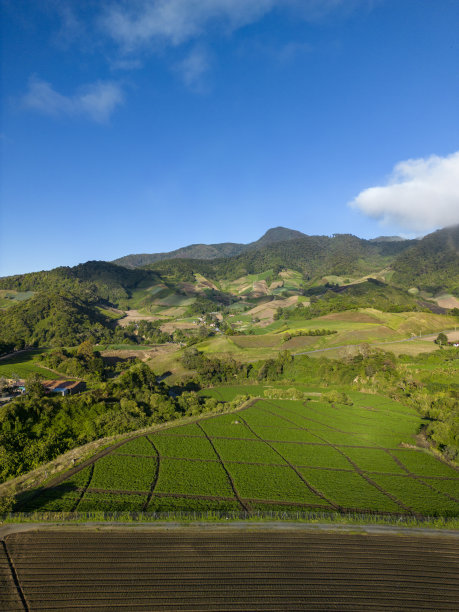 航拍照片，乡村景观农场-库存照片图片下载