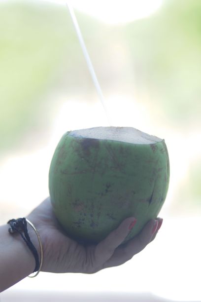 正宗椰子汁图片下载