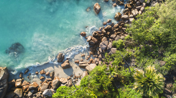 热带海滩，用无人机拍摄的大海和棕榈树。塞舌尔著名的鲨鱼海滩，航拍照片图片下载
