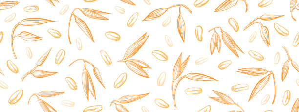 燕麦穗，种子无尽背景。矢量模式图片下载