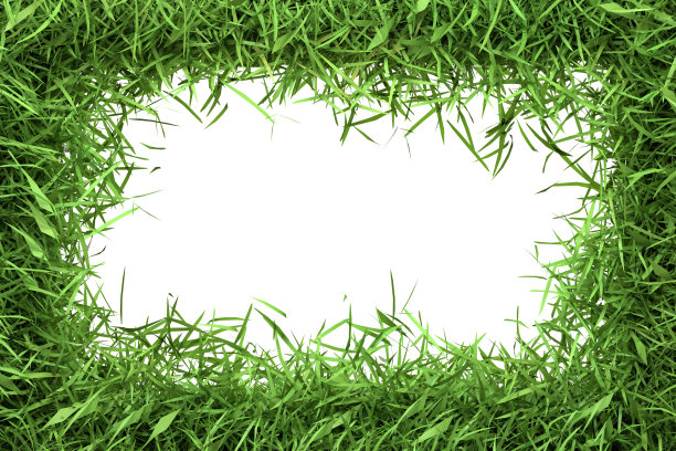郁郁葱葱的绿草边框构成了中央的白色空间，是生态主题信息和设计的理想选择图片下载