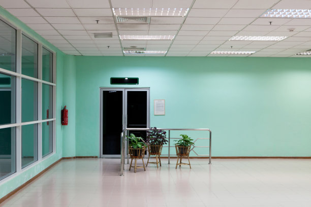 绿色内墙的房间图片下载