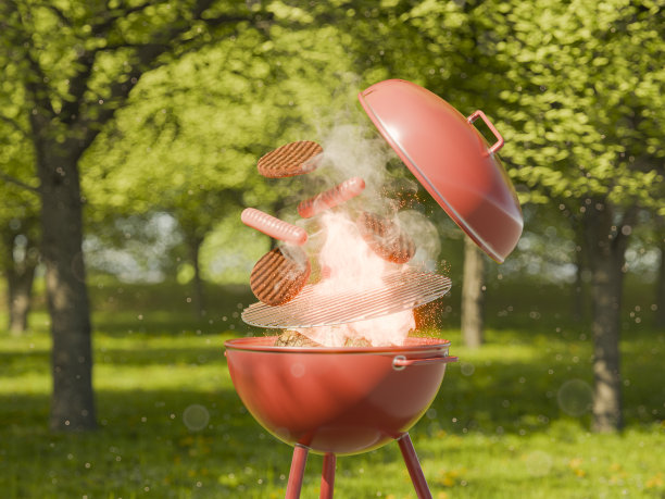 在阳光公园烧烤与飞行香肠和汉堡图片下载
