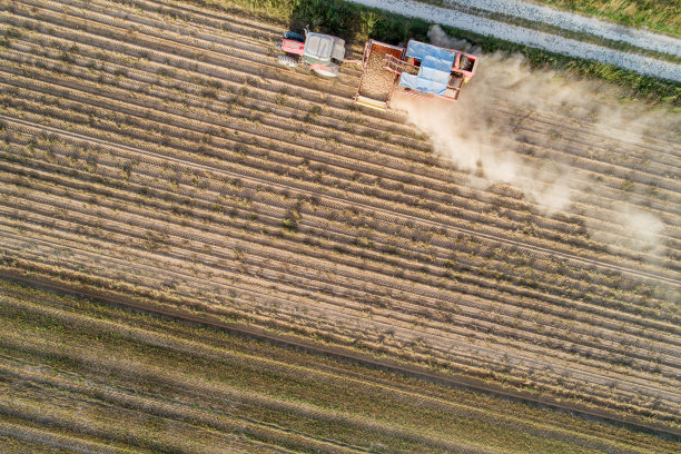 一辆拖拉机与联合收割机在马铃薯收获期间，无人机的空中天顶视图图片下载
