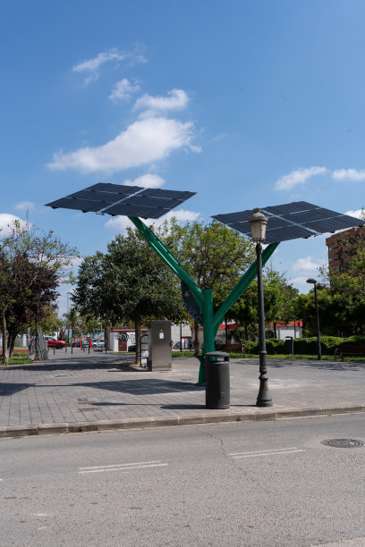西班牙瓦伦西亚- 2024年6月13日-为移动设备和小型电动汽车充电的光伏树照片。垂直图片下载