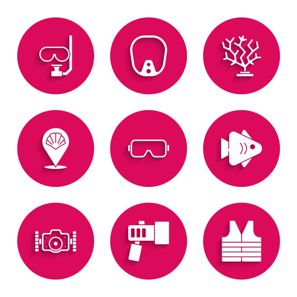 集潜水面具，手电筒，救生衣，鱼，照片相机，扇贝海贝壳，珊瑚和浮潜图标。向量图片下载