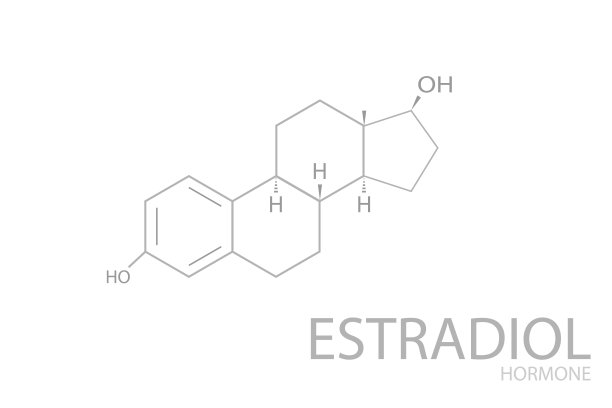 雌二醇分子骨架化学式图片下载