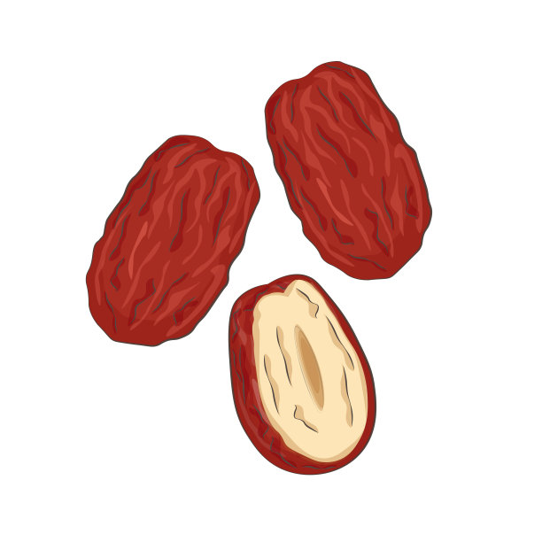 简单的卡通干红枣或干枣图片下载