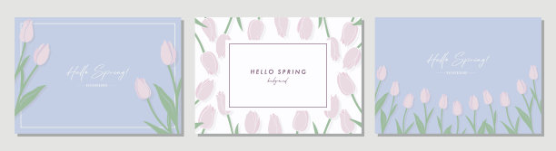 郁金香插画套装图片下载