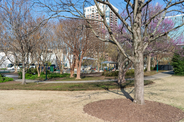 百年奥林匹克公园图片下载