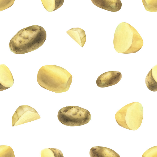 白土豆，去皮的整块茎和切片。水彩插画，手绘主题为收获、烹饪、食品、包装、蔬菜店设计。无缝图案简单图片下载