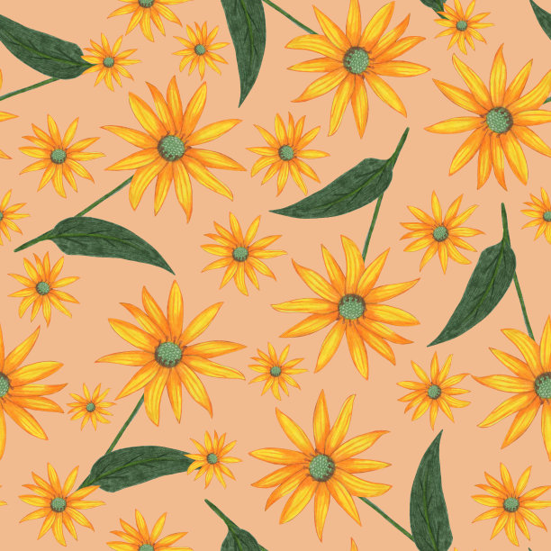 Topinambur花无缝图案。花卉数码纸。图片下载