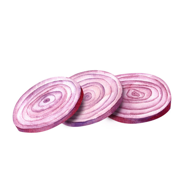 黄色洋葱，水彩插图，孤立在白色背景上。用于纺织品和纸张、服装、盘子和餐具的设计、厨房装饰、餐厅菜单、食谱、烹饪书图片下载