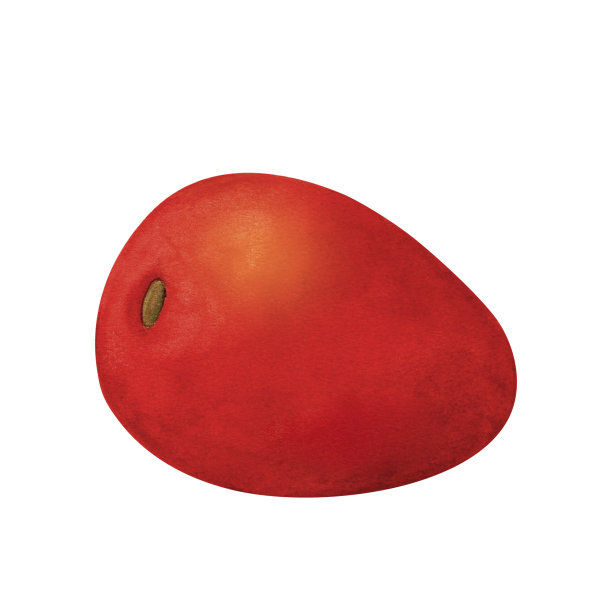 红番茄，水彩插图，孤立在白色背景上。用于纺织品和纸张、服装、盘子和餐具的设计、厨房装饰、餐厅菜单、食谱、烹饪书图片下载