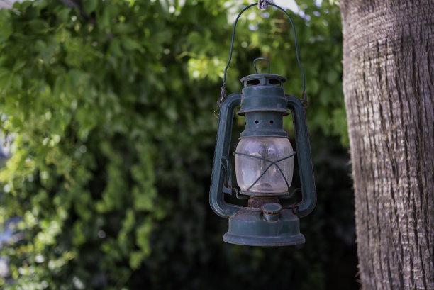 花园里的绿色旧油灯。库存图片图片下载