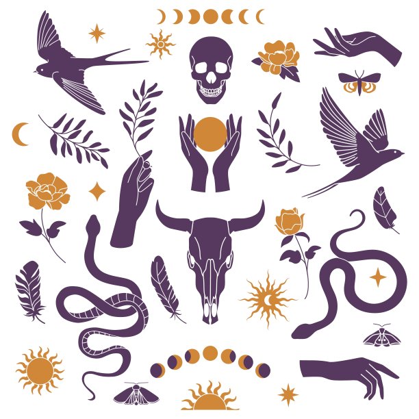 民族的补丁。波西米亚剪影符号。蛇和骷髅。鸟的羽毛。手握植物枝。花上有飞蛾。塔罗牌和深奥的眼睛。时尚元素集。矢量神秘插画图片下载
