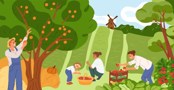 收割的农民。园丁从树上摘水果。人们从床上摘草莓。孩子们的西红柿被放在盒子里。种植蔬菜的农业工人。格里什矢量概念图片下载