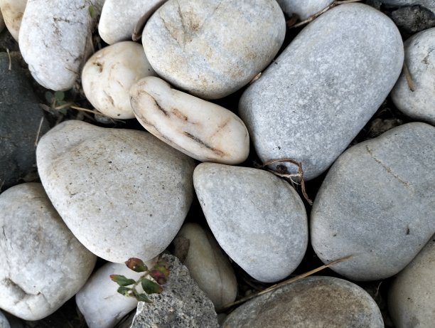 白色砾石，无缝纯白色砾石纹理背景图片下载