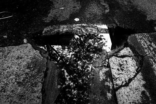 背景水坑:(单色传感器)图片下载