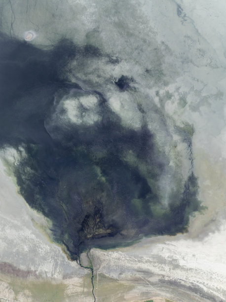 自然的形状和纹理图片下载