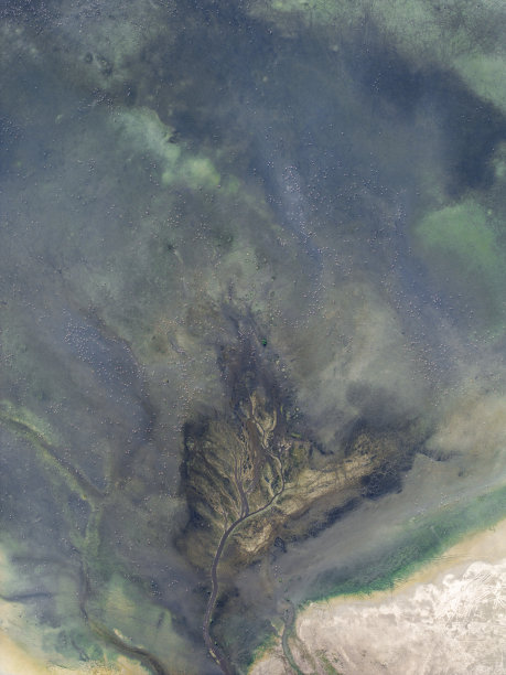 自然的形状和纹理图片下载