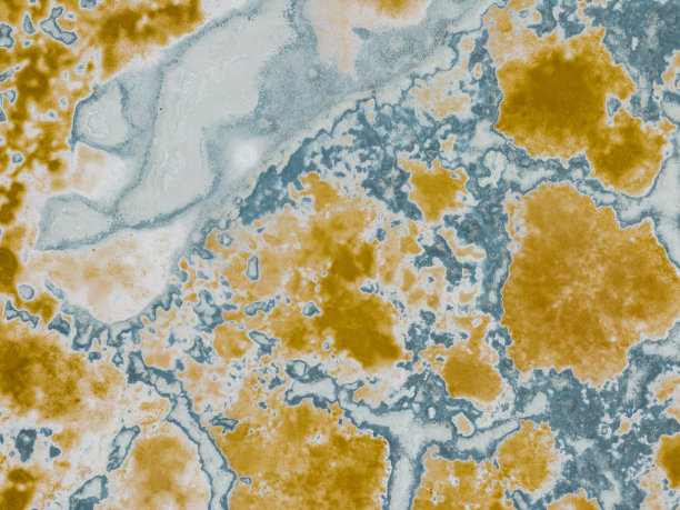 自然的形状和纹理图片下载