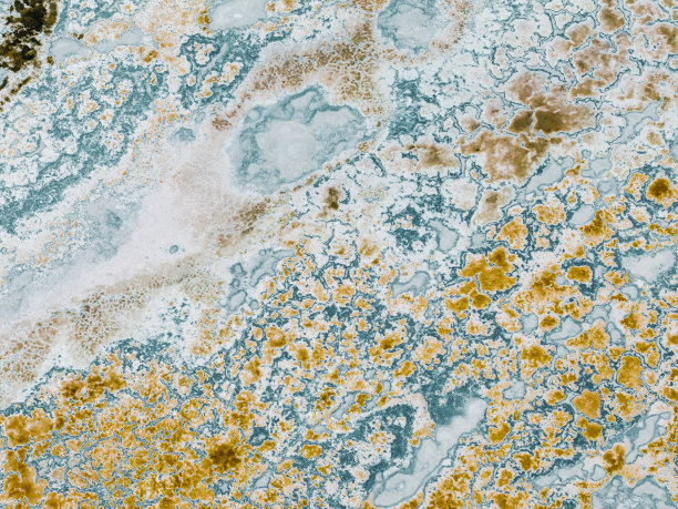 自然的形状和纹理图片下载