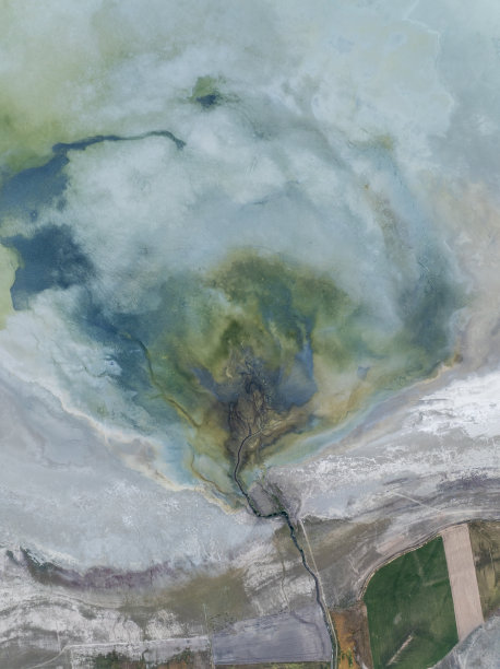 自然的形状和纹理图片下载