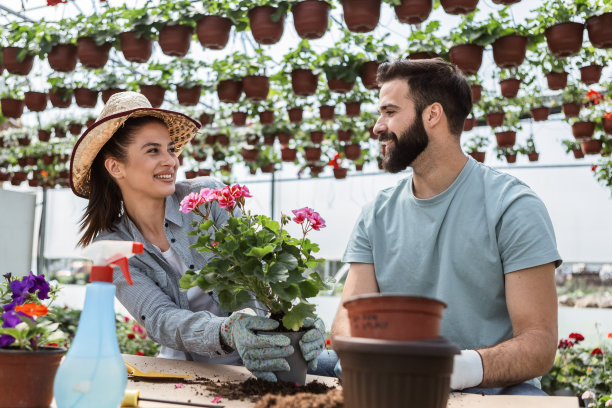 种植在一起图片下载