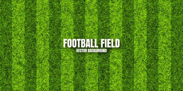 绿草如茵的足球场。带有条纹的足球场背景。运动场、运动场用人造或天然草皮。矢量图图片下载