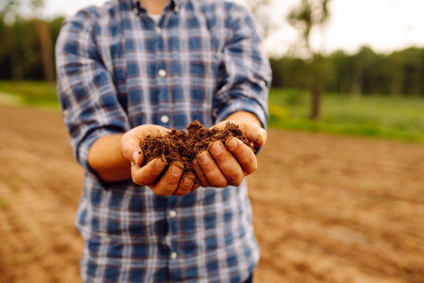 在种植蔬菜种子或植物幼苗之前，男性用手检查土壤的健康状况。图片下载