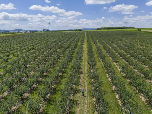 小企业农业，梅园图片下载