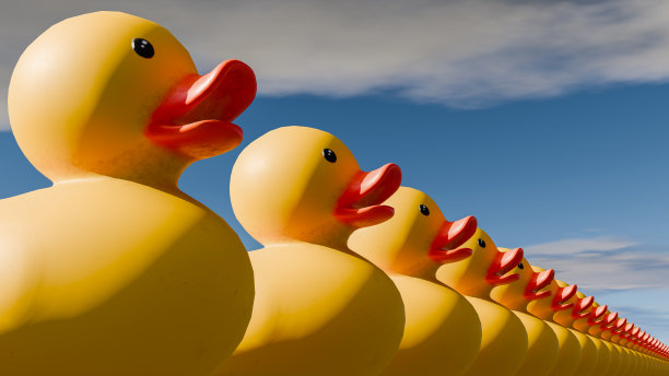 一群小鸭图片下载