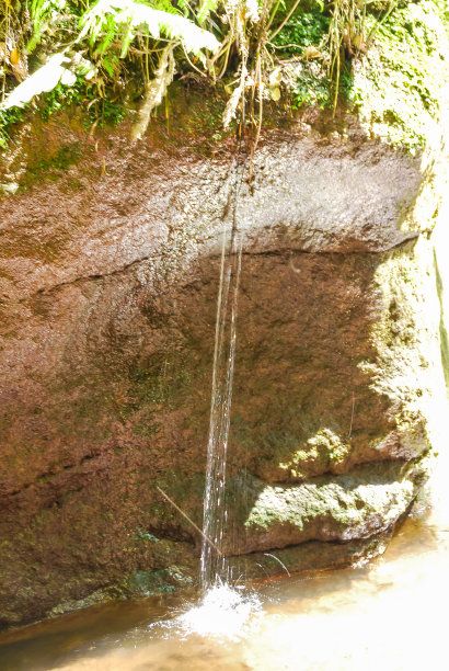 溪流在森林中，数码照片的画面作为背景图片下载
