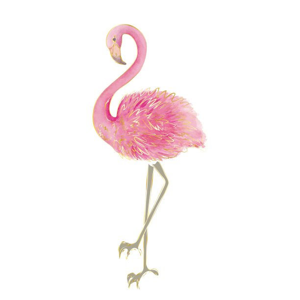 手绘火烈鸟。现代创意设计水彩质感。矢量插图。图片下载